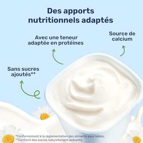 Nestlé Bébé - P'tit brassé BIO mini nature sans sucres ajoutés - dès 4/6 mois - 6 x 50g (Lot de 4)