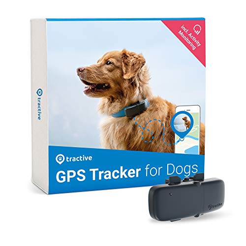 Tractive collier GPS pour chien