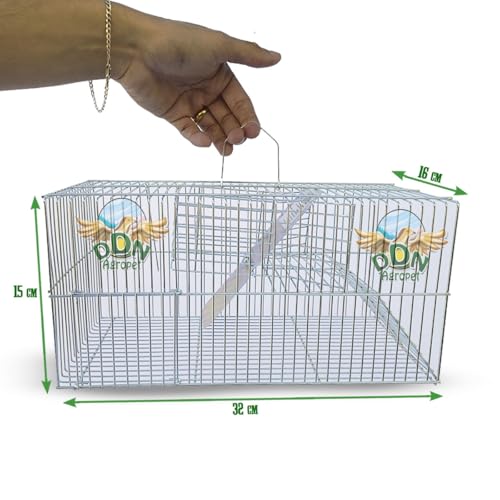 Gaiola Ratoeira Armadilha Pegar Capturar Rato Pequeno Camundongo Soltura Lateral