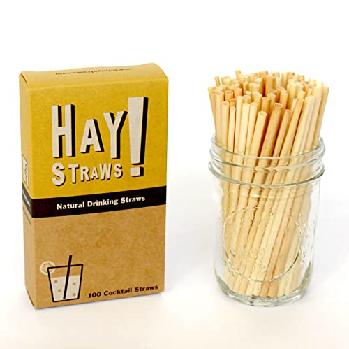 Hay! Straws Cocktail Straw | 100Ct | 5" | 100% Biodegradable, 100% Plant-Based, Never Soggy, Gluten-Free | Sustainable Alternative To Plastic & Bioplastic Straws #TOP22