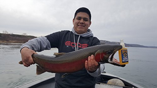 Dr. Juice Tournament Trout/Salmon Fish Scent #TOP3