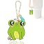 Big Eyed Frog
