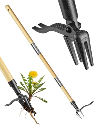 Rgaden Weed Remover Tool Stand Up 110cm Original Bamboo Long Handle Weed Puller Root Remover with 4-Claw Steel Head Heavy Duty No Kneeling Bending Weeding