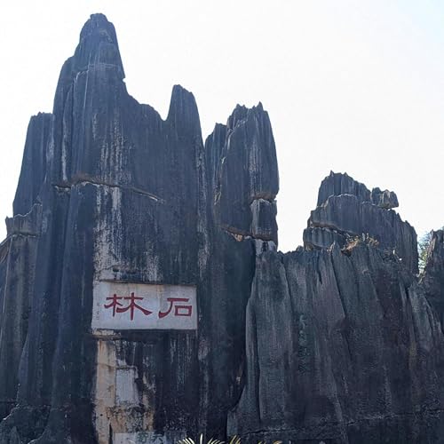 Herding Mountains to Make a Forest (Pre-Intermediate) Podcast Por  arte de portada