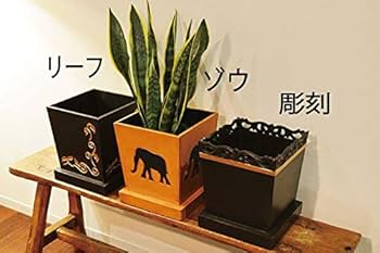 Amazon.co.jp: アジアン バリ 雑貨 ♪バリ島の鉢カバーM（彫刻：5～7号
