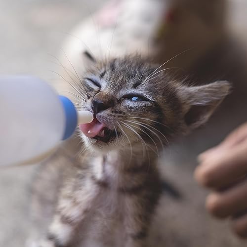 Foozia Ziegenmilchpulver Reine Ziegenmilch Getrocknet Ohne Zusätze Für Mensch, Katzen & Hunde 225g