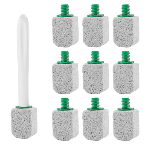 alwaiiz 10 pezzi pietra pomice, WC con manici, detergente per WC, bagno, lavandino, griglia
