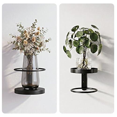 Rioneta Metal Wall Plant Holder for Indoor Plants, Modern Stylish Wall Decor, Space-Saving Vertical Shelf for Home, Garden & Office 3 Pack Black — view 3