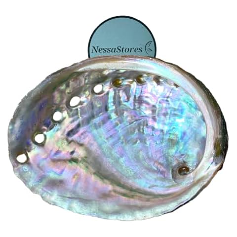 NessaStores Abalone Shell Smudge Bowl Cover
