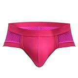 Evankin Mens Underwear Brief Sexy Mesh Hollow out Underpants Natural Fiber Low Rise U Pouch for Men Pack Lingerie（Rose-S）