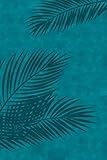 The Passion Translation New Testament (2020 Edition) Large Print Teal: With Psalms, Proverbs and Song of Songs