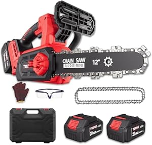 Tronçonneuse à Batterie 12 Pouces, Tronçonneuse Électrique sans Fil avec Moteur Brushless 1200W, 2 Batteries 4.0Ah & Chargeur, Graissage Automatique, Tension de Chaîne sans Outil, Élagage & Coupe