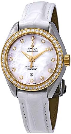 Omega Seamaster Aqua Terra Automatic Diamond Ladies Watch 231.28.34.20.55.004