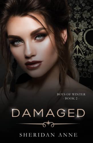 Damaged: A Dark Enemies to Lovers Reverse Harem Romance (Boys