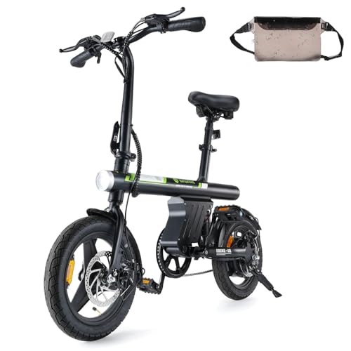 isinwheel Electric Bike