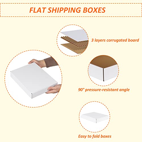 Image of HORLIMER 12x9x2 inches Shipping Boxes Set of 25, White Corrugated Cardboard Box Literature Mailer