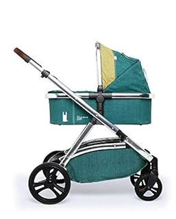 buggy suitable from birth