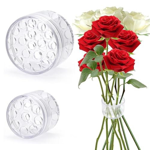 YdseozOA 2PCS Porte-Tige de Fleur, Porte-Tige en Spirale Transparente pour Les Fleurs, Porte-Tige d'ikebana, Bouquet de Bricolage en Spirale réutilisable pour Les vases Porte-Arrangement de Fleurs