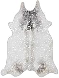 Loloi Odessa Collection ODE-02 Silver/Grey 3'-10' x 5' Accent Rug