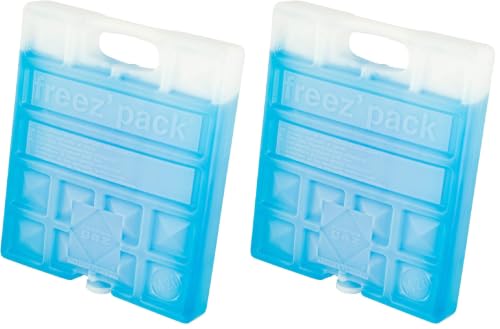 Campingaz - Elément de refroidissement - Freezpack M20-770 Grammes - 20x17x3 cm, Bleu (Lot de 2)