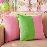 Hahafelt 2 Pcs Throw Pillow Covers 18 x 18 Inch Cute Soft Dutch Velvet Pillowcase...