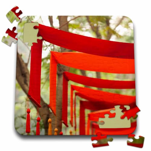 3dRose Vietnam, Hanoi. TET Lunar New Tear Decorations 10x10 Inch