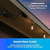 Enbrighten Vibe Add-an-Outlet Light Adapter, Smart Outdoor Outlet with Two GFCI Outlets for Porch Lights, Security Cameras, Direct Wire, Compatible with Alexa, Google Assistant, Black, 80753