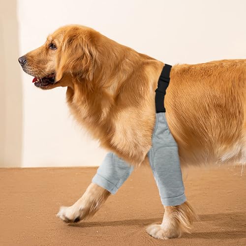 Image of ROZKITCH Dog Surgery Leg Sleeve for Front Legs, Pet Prevent Licking Wound Elbow Knee Protector, Dog Leg Sleeve to Stop Licking Cone Collar Alternative for Sprain ACL CCL Arthritis Grey 3XL