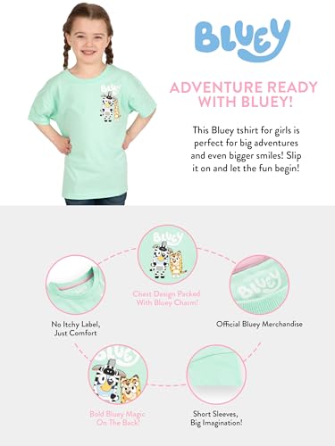 Bluey Tshirt, Girls Short Sleeve Shirt, Bingo Kids Tshirt for Summer, Cotton Girls Summer Clothes4