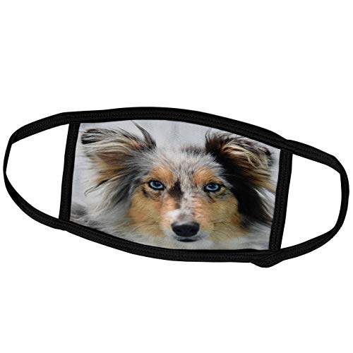 3dRose Portrait of a Australian Shepherd Dog Doglover - Face Mask, 6.7 by 4.3-inch (fm_319044_2)