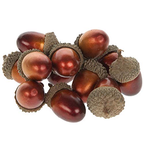 Gerson Set of 12 Metallic Acorns Fall and Autumn Thanksgiving Home Decor and Crafts