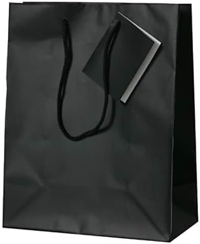 JAM PAPER Gift Bags with Rope Handles - Large - 10 x 13 x 5 - Hot Pink Matte - 3/Pack
