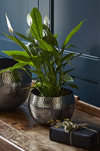 Maceta Ivyline de hierro acero negro de 19cm para interiorismo 3