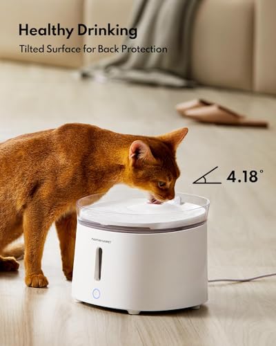 Homerunpet Katzenbrunnen mit Super leiser Kabelloser Pumpe, BPA-freier Trinkbrunnen für Katze, Leicht zu Reinigender Wasserbrunnen mit Smart LED und Aktivkohlefilter, Leicht Nachzufüllen, 2L