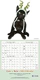 Cats in Hats 2021 Calendar