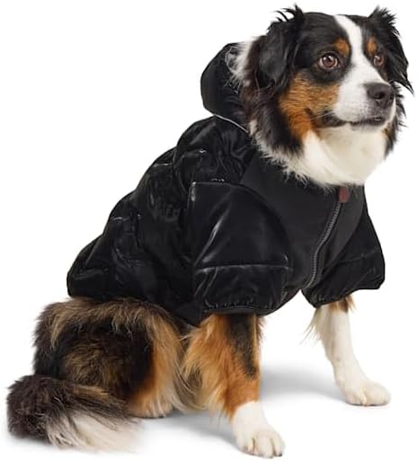 Reddy by Petco Quilted Hooded Puffer Jacket for Pets, X-Large