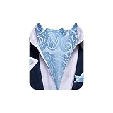 DiBanGu Light Blue Ascot Ties for Men Paisley Cravat for Men 100% Silk Woven Mens Cravat Tie and Poc