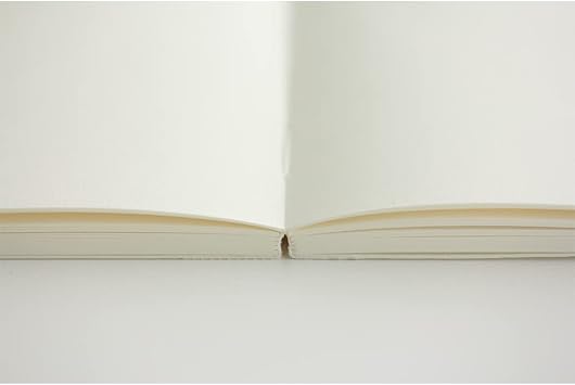 DESIGNPHIL Midori MIDORI Notebook MD Notebook A5 Unruled A 15293006