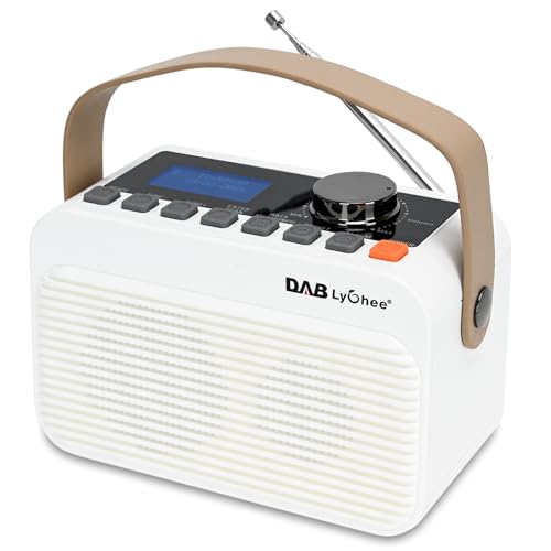 Lychee Radio FM numérique DAB/DAB+ BT, radio portable rechargeable, affichage LED, prise en charge de la lecture de cartes USB et TF