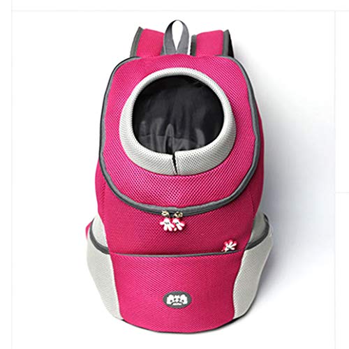 Correas Perros Pequeños Rosa Marca US-JDSHSO