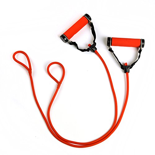 Winmax Fitness Pull-up Tube Resistance Bands Combo with Removable Weights for Home Workout, Pack of 2, Compatible for Billy's Bootcamp