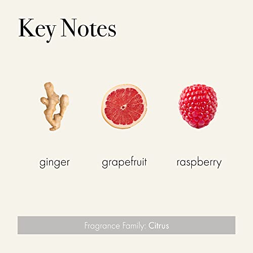 Lafco New York 3-Wick Candle, Champagne - 30 Oz - 120-Hour Burn Time - Reusable, Hand Blown Glass Vessel - Made In The Usa #TOP2