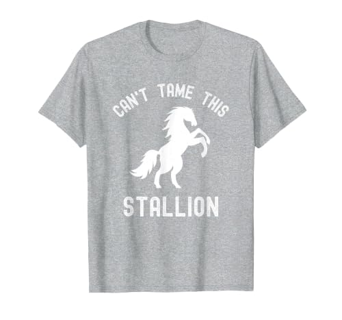 Can't Tame This Stallion, Funny Horse, Wild Horse T-Shirt, Men, Heather Grey, Small