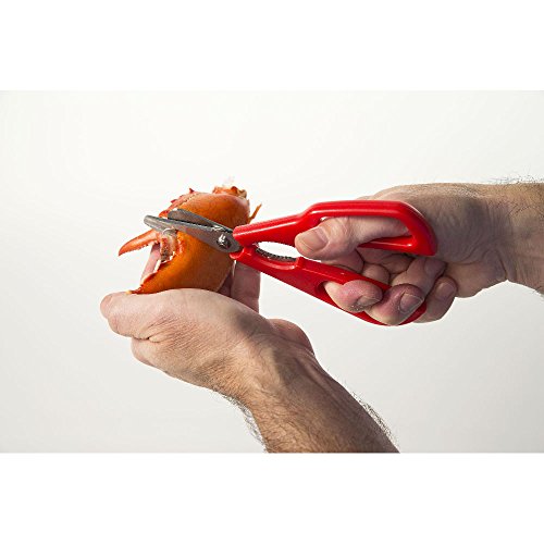 Tesoura Para Frutos do Mar Desmontável Fackelmann Vermelho