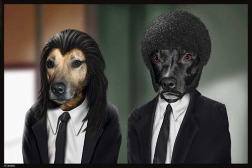 Empire Merchandising GmbH 608482 - Póster, Color