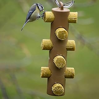 Suet Logs for Wild Birds - 72 Logs - Insect and Mealworm Flavour