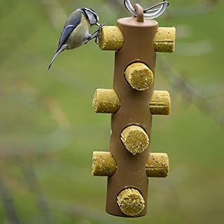 Suet Logs for Wild Birds - 72 Logs - Insect and Mealworm Flavour