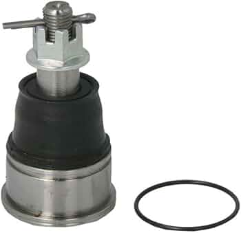 じょあん 41oUoFHLLFL._AC_UF350,