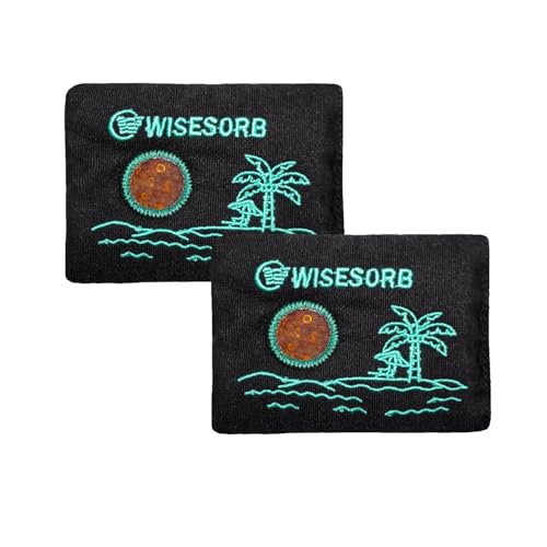 Wisesorb 100g x 2pcs Reusable Desiccant Packs for Storage, Color Indicating Silica Gel Packets Moisture Absorbers with Visible Window, Rechargeable Dehumidifier Bags for Gun Safe Car Closet Basement