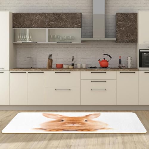 Tapete de cocina para pasillo y cuarto de lavado con estampado de conejo bonito 3